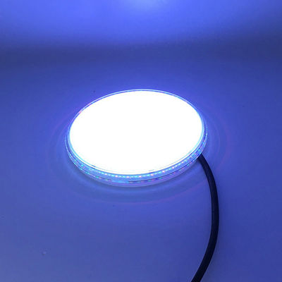 Expoxy Filled Cable 1.5m SMD2835 Resin Filled Pool Light